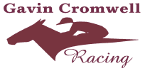 Gavin Cromwell Racing testimonial