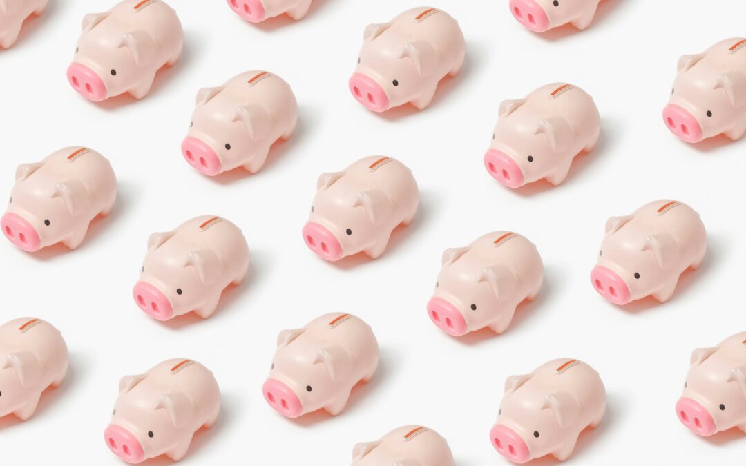 Government Saving Scheme: Will a Personal Investment Account Build Wealth?